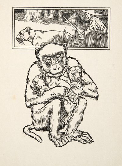 Soliciting Succour, od Sto anekdot o zvířatech, pub. 1924 (rytina) od Percy J. Billingshurst