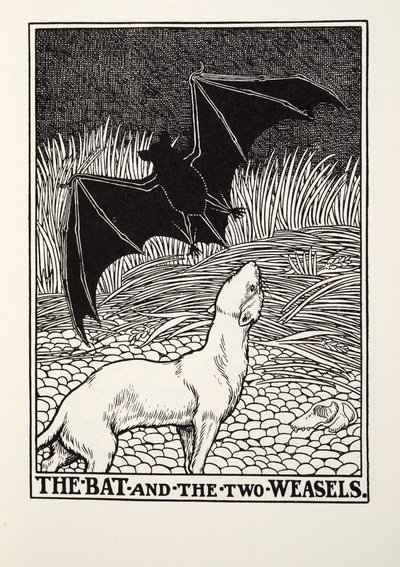 The Bat and the Two Weasels, od Fontaine Fables, hospoda. 1905 od Percy J. Billingshurst