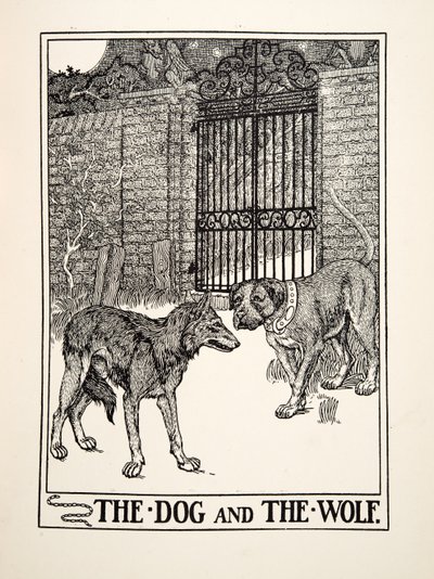 Pes a vlk, ze sta Ezopových bajek, pub. 1903 (rytina) od Percy J. Billingshurst