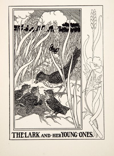 Skřivan a její mladíci, ze Sto bajek o Ezopovi, pub. 1903 (rytina) od Percy J. Billingshurst