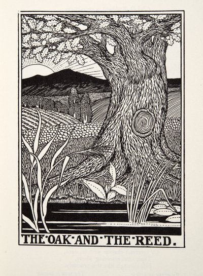 The Oak and the Reed, from Fontaine Fables, pub. 1905 od Percy J. Billingshurst