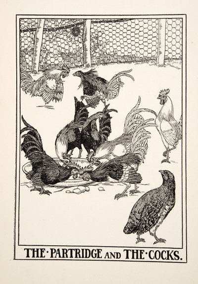 Koroptev a kohouti, od Sto bajek Ezop, pub.1903 od Percy J. Billingshurst