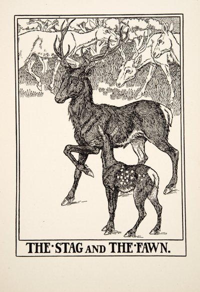 Jelen a kolouch, ze Sto Ezopových bajek, pub.1903 od Percy J. Billingshurst