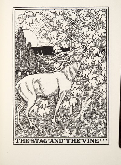 The Stag and the Vine, z Fontaine Fables, hospoda. 1905 od Percy J. Billingshurst