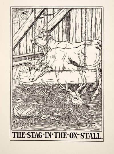 The Stag in the Ox Stall, from A Hundred Bajky of Ezop, pub. 1903 (rytina) od Percy J. Billingshurst