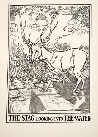 Jelen hledící do vody, ze Sto bajek o Ezopovi, pub. 1903 (rytina) od Percy J. Billingshurst
