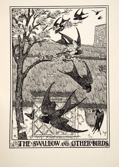 Vlaštovka a jiní ptáci, ze sta Ezopových bajek, pub. 1903 od Percy J. Billingshurst
