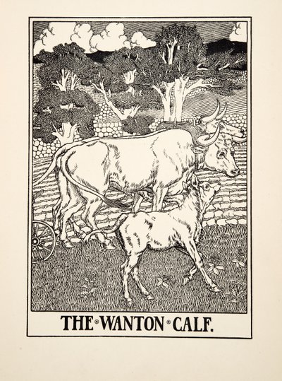 The Wanton Calf, ze Sto bajek o Ezopovi, pub.1903 od Percy J. Billingshurst