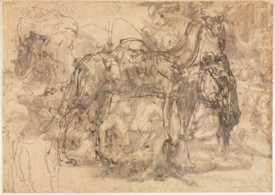 Sketches of Animals verso, c. 154547. od Perino del Vaga
