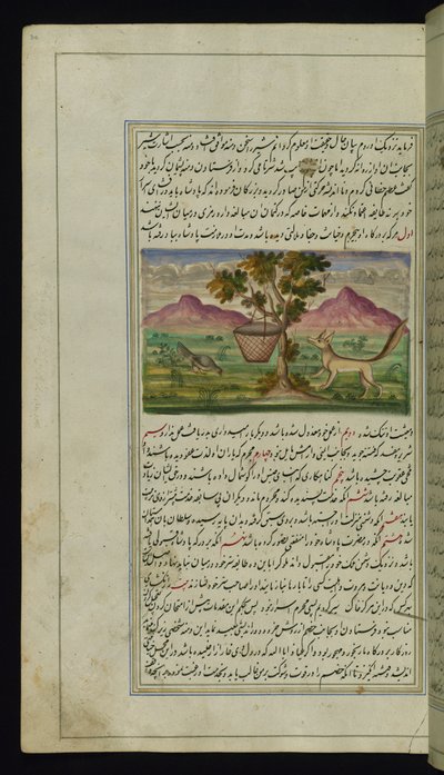 Liška a buben z Lights of Canopus od Persian School
