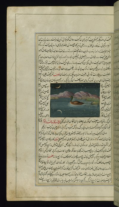 Husa a odraz měsíce ve vodě z Lights of Canopus od Persian School