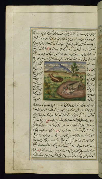 Šakal sežere zajíce z Lights of Canopus, 1847 od Persian School