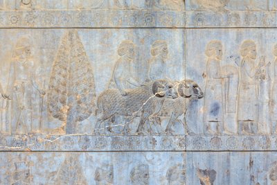 Basreliéfy na stěnách paláce Apadana a schodiště, Persepolis, Írán (pískovec) od Persian School
