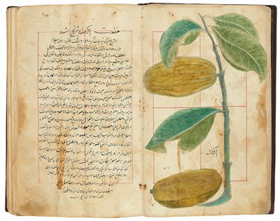 Hassan Bin Baqir Bin Jarrah: Ghalzar Al-Raihain, Qajar Iran od Persian School