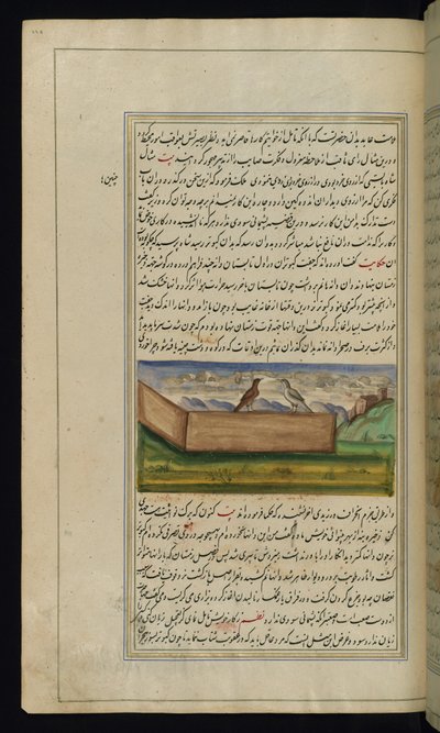 Dva holubi a zásoba obilí z Lights of Canopus od Persian School