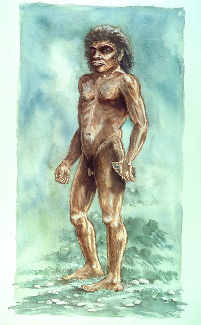 Boxgrove Man, pravěk, 1990-2010 od Peter Dunn