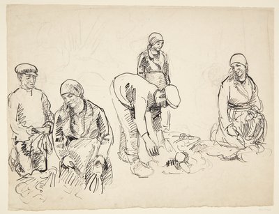 Řepné rekordéry. Studijní časopis od Peter Hansen
