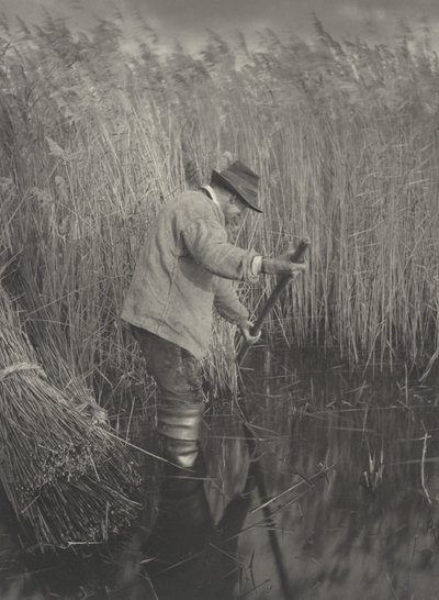 A Reed-Cutter at Work, 1886. Tvůrci: Dr. Peter Henry Emerson, Thomas Frederick Goodall. od Peter Henry Emerson, Thomas Frederick Goodall
