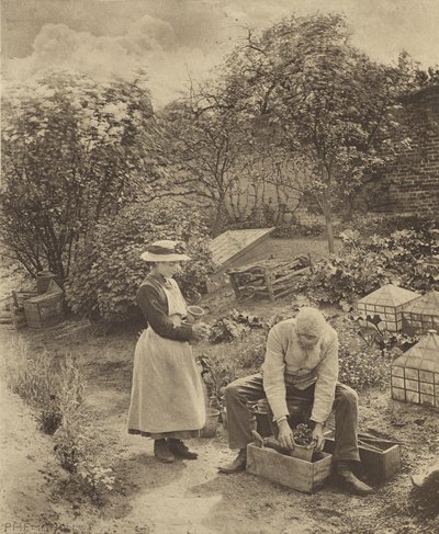  od Peter Henry Emerson