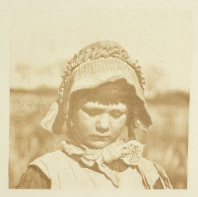 Květina z Norfolku od Peter Henry Emerson