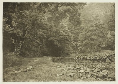 Tiché zákoutí v Beresford Dale od Peter Henry Emerson