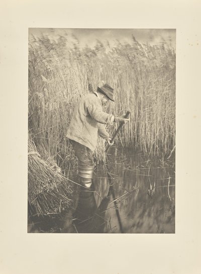  od Peter Henry Emerson