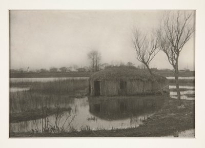 Reed Boat-House, deska XXXI ze života a krajiny na prknech Norfolku od Peter Henry Emerson