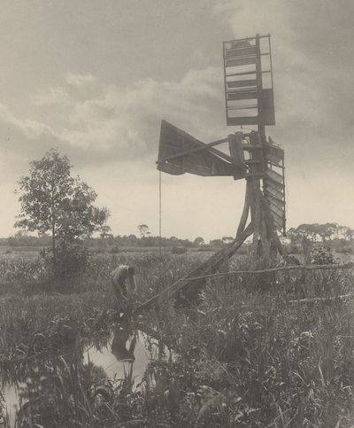 Zničený vodní mlýn od Peter Henry Emerson