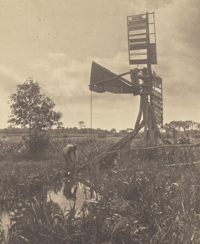 od Peter Henry Emerson