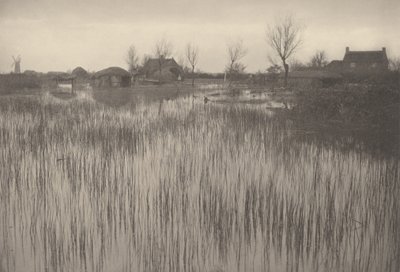 Rushy Shore od Peter Henry Emerson