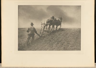 Tuhý tah. [Suffolk.] od Peter Henry Emerson