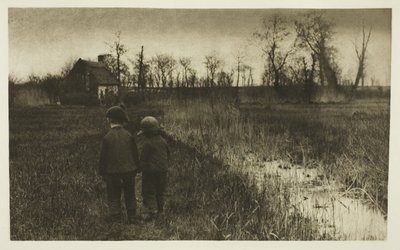 Ropucha v cestě: Předjaří v Norfolku od Peter Henry Emerson