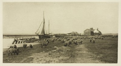 Blackshore, River Blythe (Suffolk) od Peter Henry Emerson