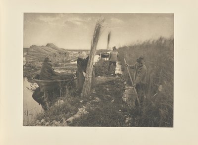 Během sklizně rákosu od Peter Henry Emerson