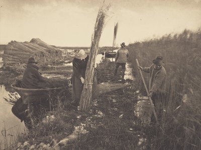  od Peter Henry Emerson