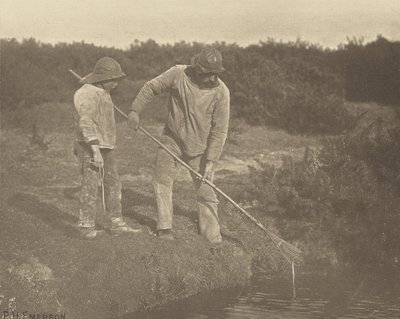 Úhoř  sběr ve vodách Suffolku od Peter Henry Emerson