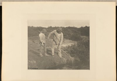 Úhoř  sběr ve vodách Suffolku od Peter Henry Emerson