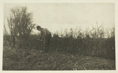 Šerm v Suffolku od Peter Henry Emerson