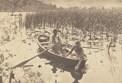  od Peter Henry Emerson