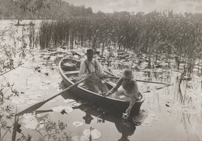 Shromažďování leknínů od Peter Henry Emerson