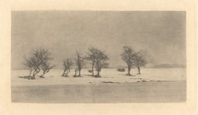 Sukovité trnité stromy od Peter Henry Emerson