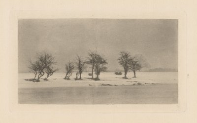 Skvrnité trnové stromy od Peter Henry Emerson