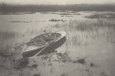 Střelec pracující na Fowl,1886 (foto) od Peter Henry Emerson