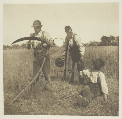V ječmenné sklizni (Suffolk) od Peter Henry Emerson