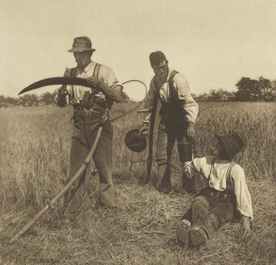 In the Barley-Harvest, Suffolk, 1888 (hlubotisk) od Peter Henry Emerson