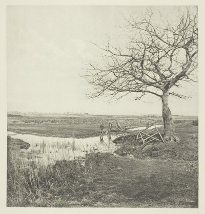 Bezlistý pochod (Suffolk) od Peter Henry Emerson