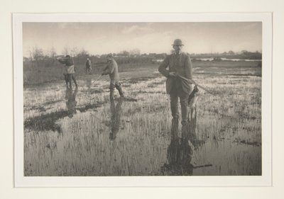 Muži loví v bažině od Peter Henry Emerson