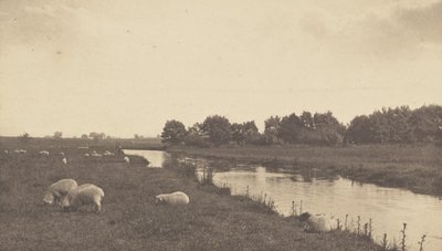 Na řece Bure od Peter Henry Emerson