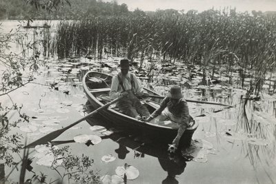 Jeden ze čtyřiceti platinových tisků z filmu Život a krajina na Norfolk Broads od Peter Henry Emerson