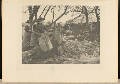Osier  odlupování. [Norfolk]]. od Peter Henry Emerson